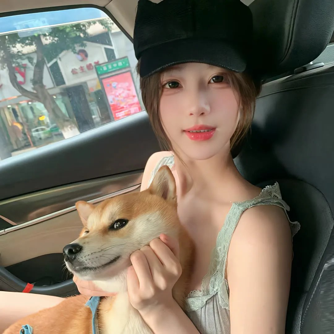 虚情假意封面