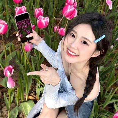 金毛喜迎冬封面